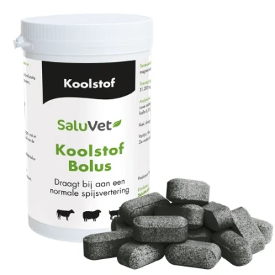 Afbeelding van Koolstofbolus 24 x 12 gram
