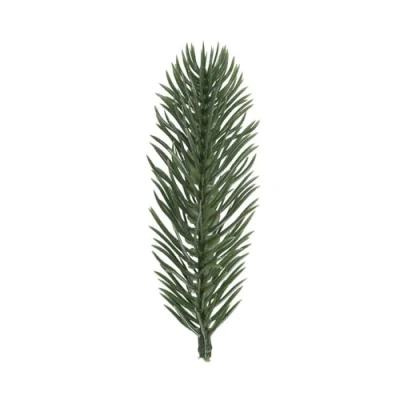 Afbeelding van Ideen mit Herz 20 stuks kunstdennentakken groen 10 cm lang adventskransdecoratie dennengroen