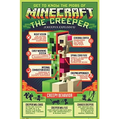 Afbeelding van GBeye Poster Hole In The Wall Minecraft Maxi Creeper 91.5 X 61 Cm Multicolor