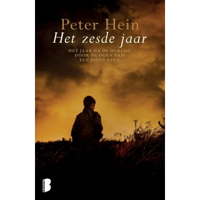 Afbeelding van Het zesde jaar