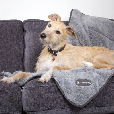 Afbeelding van Scruffs Hondendeken Cosy Blanket Grijs