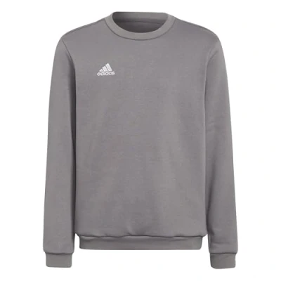 Afbeelding van adidas Performance Entrada Sweater voor kinderen, Maat: 116, Grey