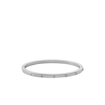Afbeelding van Fossil dames Sadie bangle met glassteen JF04420040 in de kleur Zilver