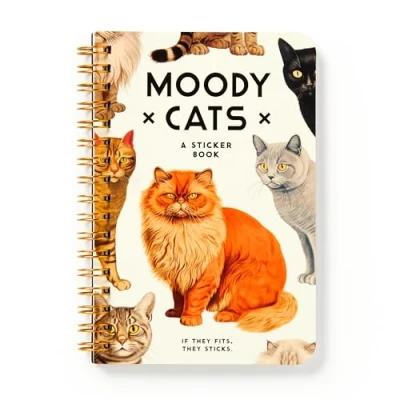 Afbeelding van Moody Cats Sticker Book