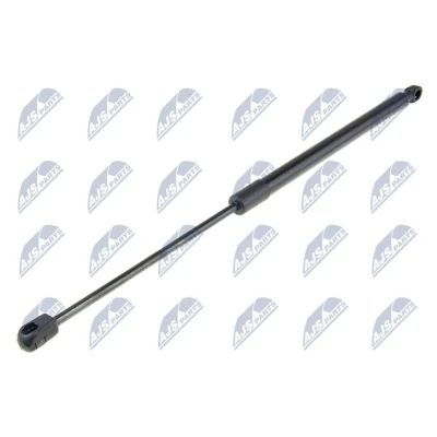 Afbeelding van NTY AE SE 023 Gasveer Achterklep 645N 488mm Aan beide zijden, (5e deur)