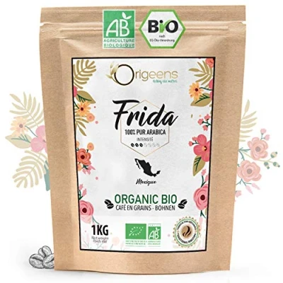 Image de ORIGEENS CAFE Grain BIO 1kg Café en Arabica Frida Single Origin Mexique Torréfaction Artisanale