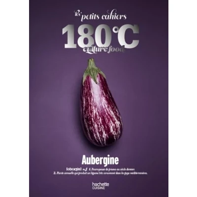 Afbeelding van PETITS CAHIERS 180¿C AUBERGINE