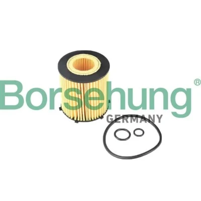 Afbeelding van Borsehung B12405 Oliefilter Filter insert MERCEDES BENZ: C Class Saloon, A Class, Saloon