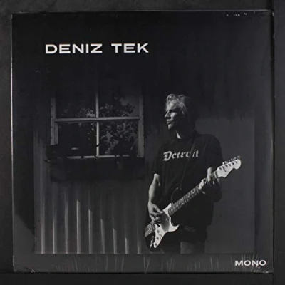 Afbeelding van Deniz Tek Detroit (LP)