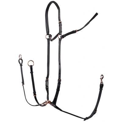 Image de Harry&#039;s Horse Collier de Chasse Rosegold Noir Full