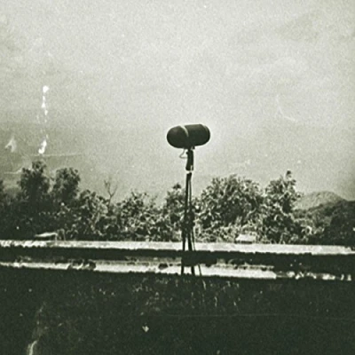 Afbeelding van Hiss Tracts Shortwave Nights (LP)