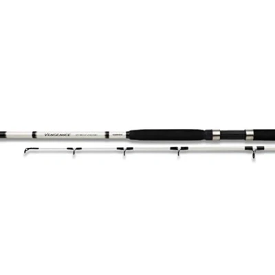 Afbeelding van Shimano Vengeance AX Boat 240H
