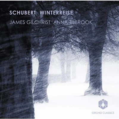 Afbeelding van James Gilchrist &amp; Anna Tilbrook Schubert: Winterreise (CD)