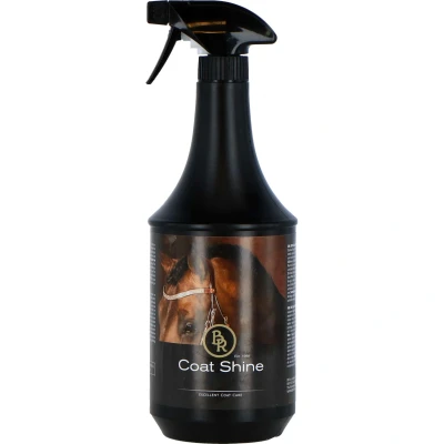 Afbeelding van BR Glansspray 1000 ml 1 l Naturel