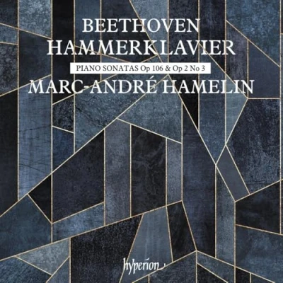 Afbeelding van Marc André Hamelin Beethoven: Hammerklavier (CD)