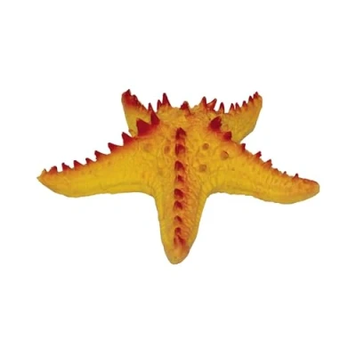 Afbeelding van Rep Pals Zeesterren, uitbreidbaar speelgoed van Deluxebase. Starfish, stretchy toy Super rekbare dierenreplica&#039;s die er echt uitzien, perfect voor kinderen.