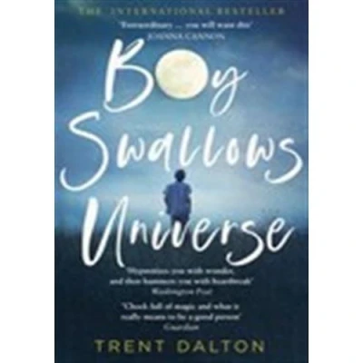 Image de Boy Swallows Universe