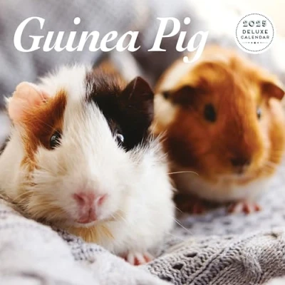 Afbeelding van Cavia Kalender 2025 Deluxe