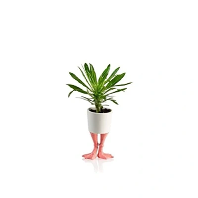 Afbeelding van Bloempot Met Flamingopoten Klein