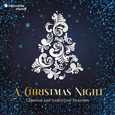 Afbeelding van V/A A Christmas Night (LP)