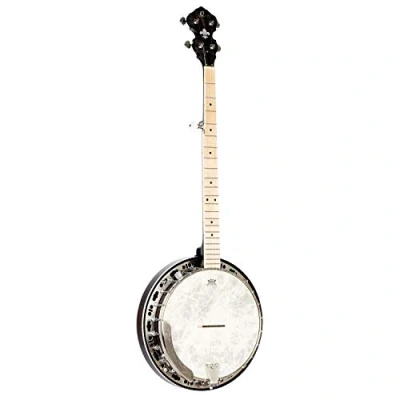 Afbeelding van ORTEGA Falcon Series Banjo houtskool, transparant, met hoes (OBJE400TCO)