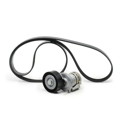 Afbeelding van Poly V riem set INA 529 0521 20