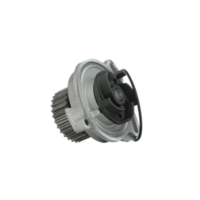 Afbeelding van Skf Waterpomp VKPC 81606