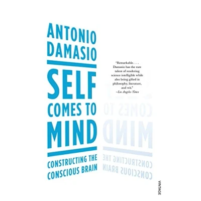 Afbeelding van Self Comes To Mind: Constructing The Conscious Brain