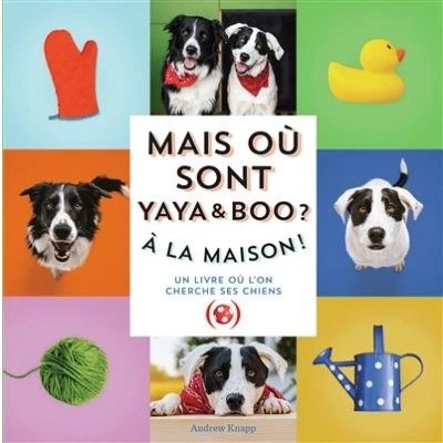Image de Mais où sont Yaya et Boo ? À la maison !
