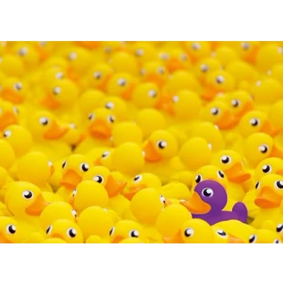Afbeelding van Ravensburger Challenge puzzel 12000587 Quietscheenten 1000 stukjes