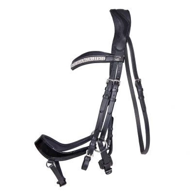 Image de QHP Bridle Eris