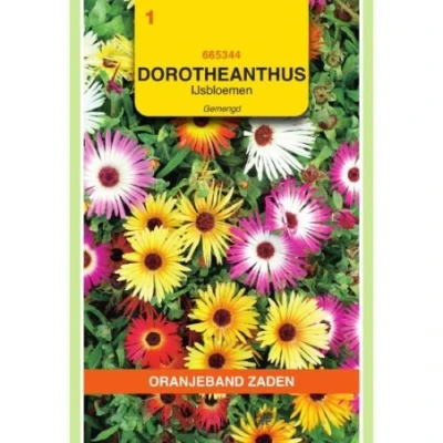 Afbeelding van Dorotheanthus ijsbloemen gemengd