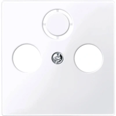 Afbeelding van Merten 296725 Afdekking System M Wit