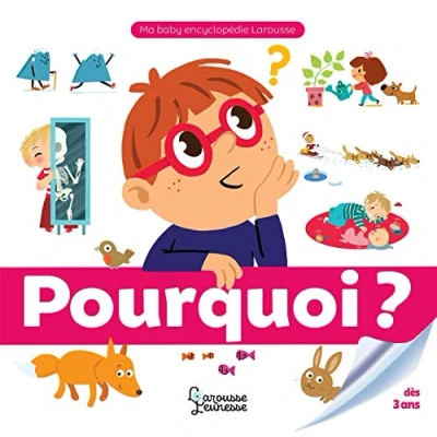 Afbeelding van Pourquoi?