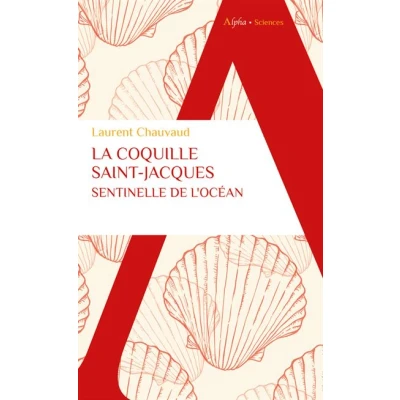 Image de La coquille Saint Jacques, sentinelle de l&#039;océan