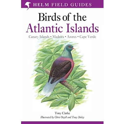 Afbeelding van Field Guide To Birds Of Atlantic Islands