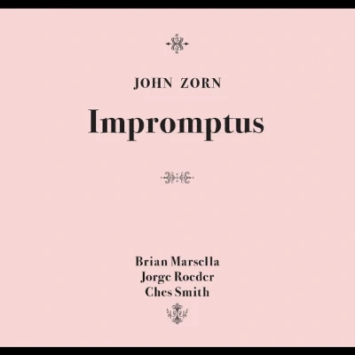 Afbeelding van John Zorn Impromptus (CD)
