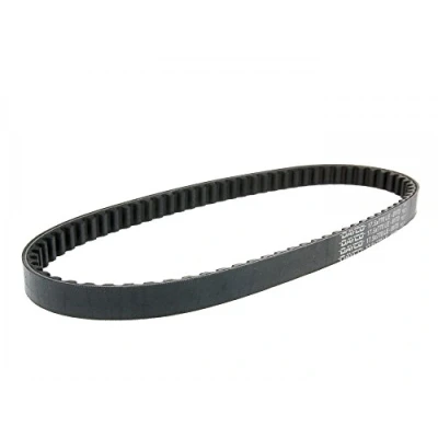 Afbeelding van Aandrijfriem DAYCO DAY8173