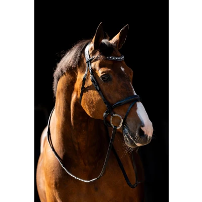Image de HB Bride Jump NoirVendu par Agradi