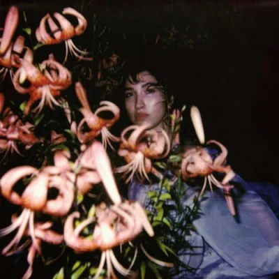 Afbeelding van Shirley Hurt (LP)