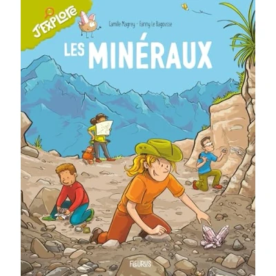 Afbeelding van LES MINERAUX