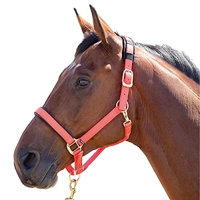 Afbeelding van Shires Halster Topaz Nylon Orange Pony