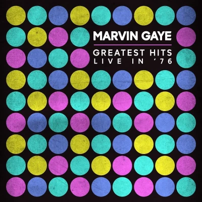 Afbeelding van Marvin Gaye Greatest Hits (Live in Amsterdam, 1976) (CD)