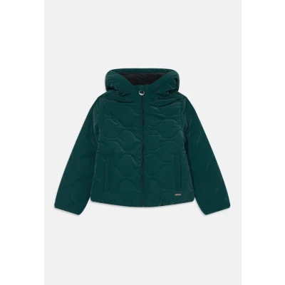 Afbeelding van Vingino Tanije Winterjas voor kinderen, Maat: 140, Deep dark green
