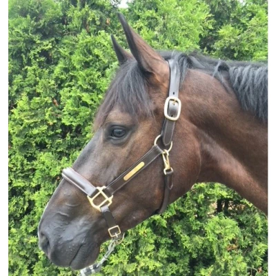 Image de HB Showtime Licol Horse Name Cuir Marron Cob