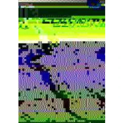 Afbeelding van Sekundo: Mathematik für differenzierende Schulformen Ausgabe 2009: Förderheft 5 (Sekundo Schulformen: 2009 das 5. und 6.Schulahr