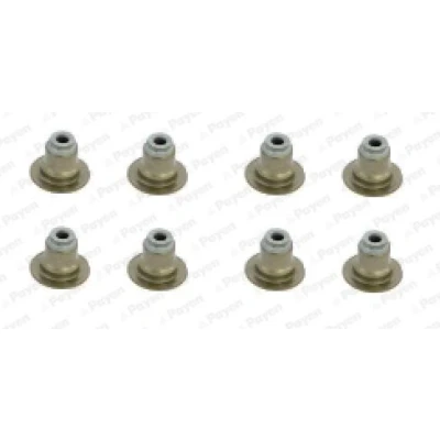 Afbeelding van PAYEN HR5120 Klepsealset FPM (Fluor Kautschuk) PEUGEOT: 2008 Estate, 307 Hatchback, 206 FORD: FIESTA 6, FOCUS 3, C Max 2