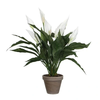 Afbeelding van Mica Decorations spathiphyllum maat in cm: 50 x 40 wit pot
