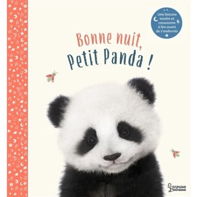 Image de Bonne nuit petit panda