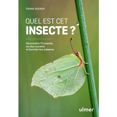 Image de Quel est cet insecte ? Reconnaître 75 insectes les plus courants et favoriser leur présence